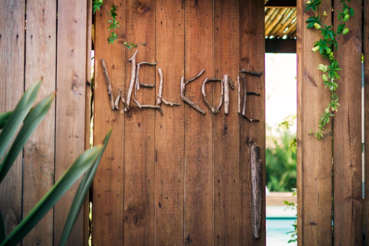 Pura Vida Lodge Mimizan-Plage Ngoại thất bức ảnh