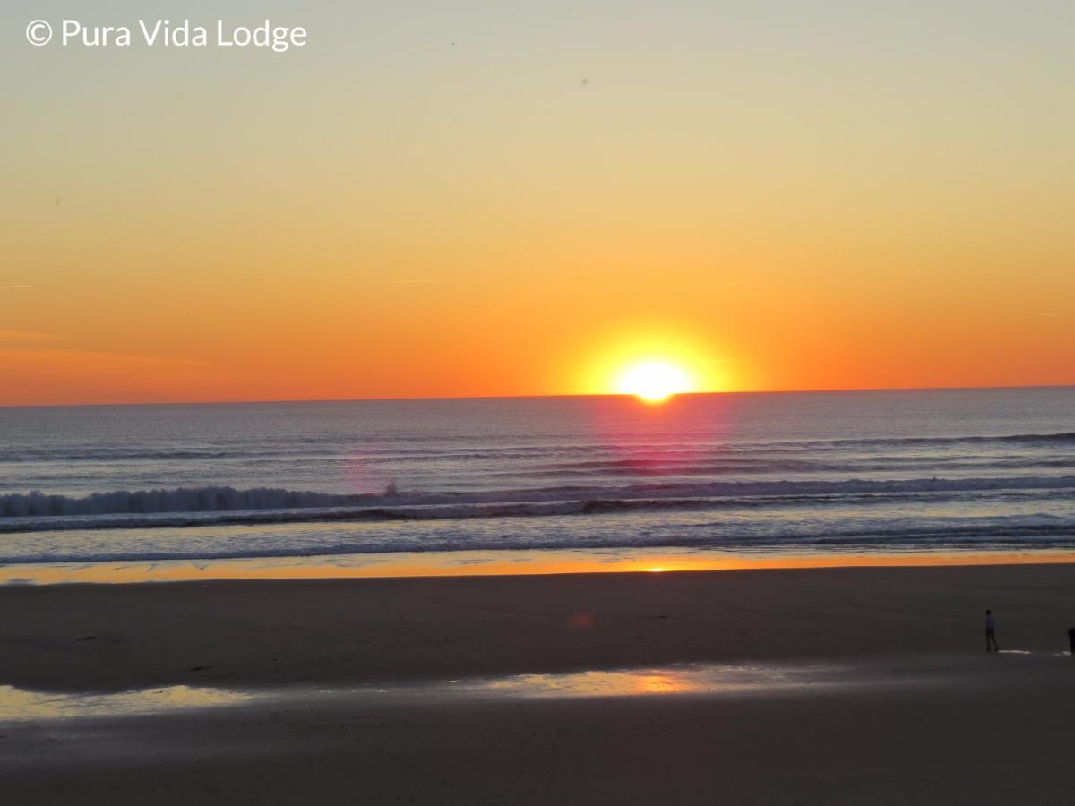 Pura Vida Lodge Mimizan-Plage Ngoại thất bức ảnh